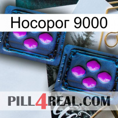 Носорог 9000 03